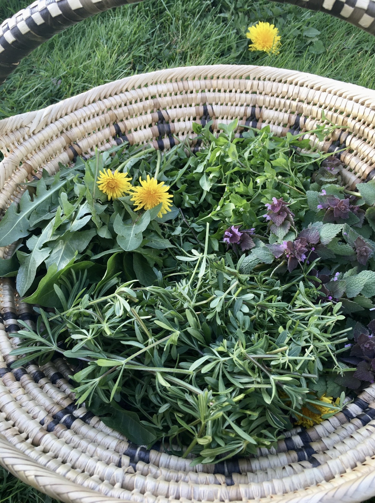 Workshop Schedule Greener Postures